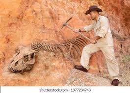 Image result for archaeologist images
